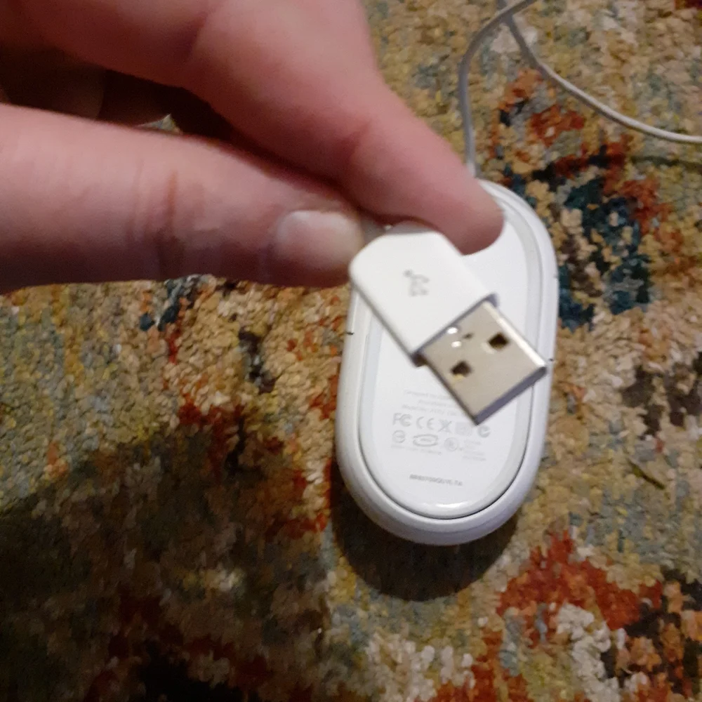 Apple wired mouse